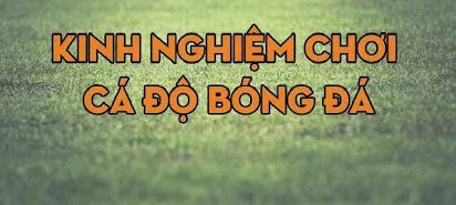 Để tránh bị cuốn theo số đông